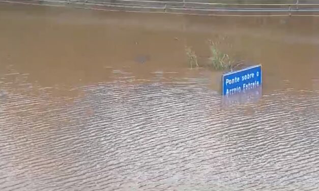 Detran-RS emite segundas vias gratuitas de CNH para vítimas das enchentes