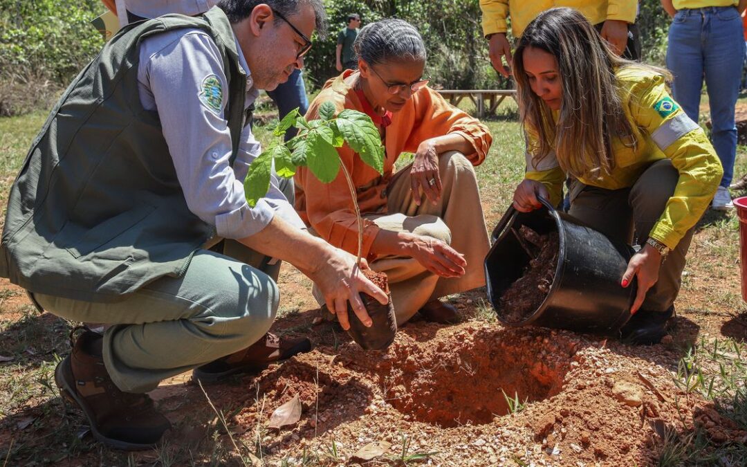 Ministério do Meio Ambiente quer evitar licença ambiental de longo prazo no Cerrado