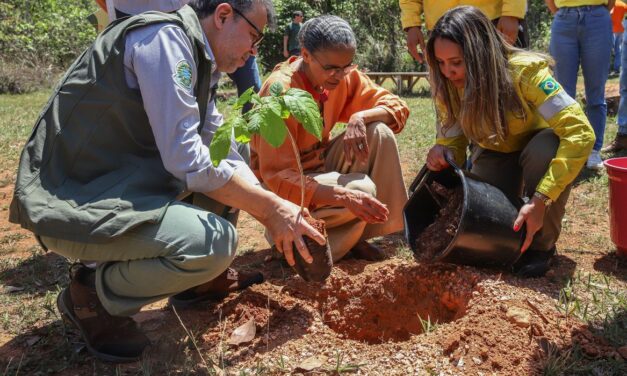 Ministério do Meio Ambiente quer evitar licença ambiental de longo prazo no Cerrado