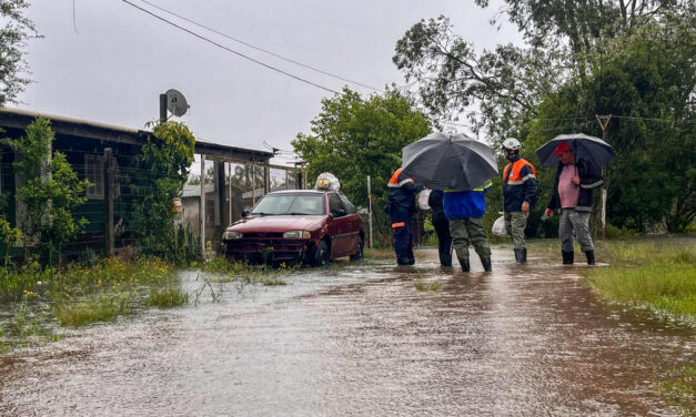 Defesa Civil alerta para possibilidade de temporais e ventos fortes em Porto Alegre
