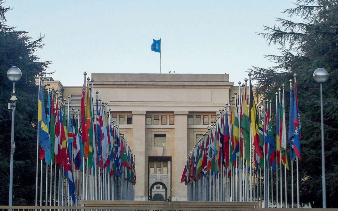 Brasil é eleito para o conselho de Direitos Humanos da ONU para o sexto mandato
