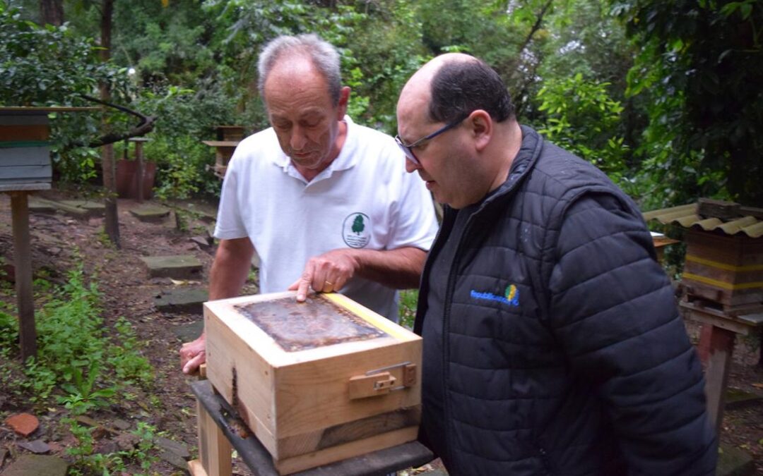 Comissão Especial de Apicultura e Meliponicultura será instalada terça-feira