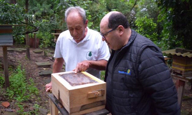 Comissão Especial de Apicultura e Meliponicultura será instalada terça-feira