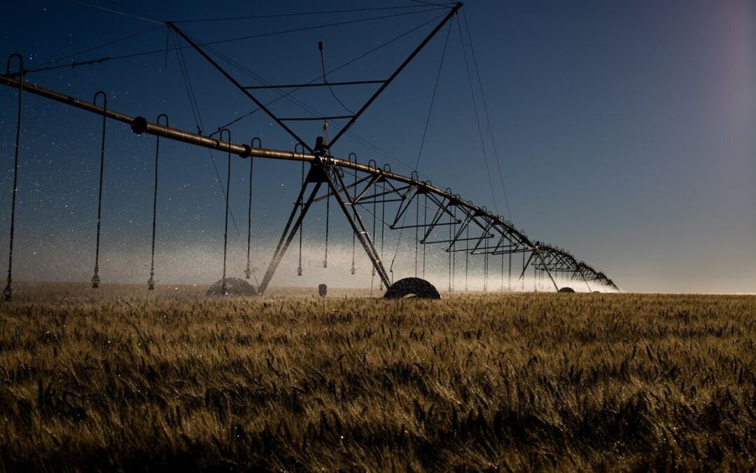 Estado do Rio Grande do Sul é líder em financiar projetos de irrigação no Brasil