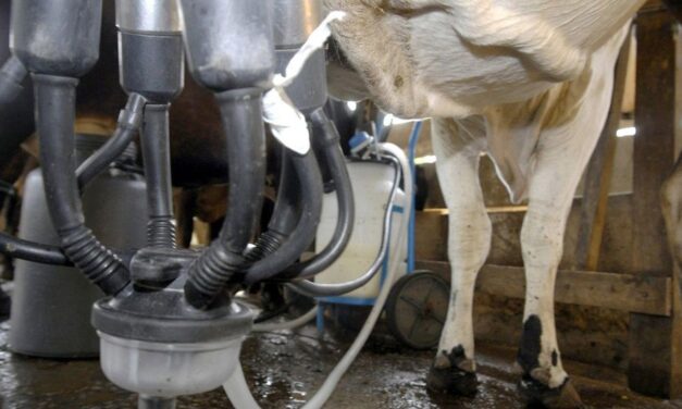 Impactos da importação de leite na produção nacional será discutido na Câmara dos Deputados