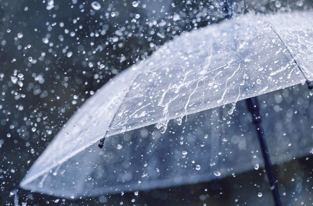 Clima no Rio Grande do Sul: Céu nublado e possibilidade de chuva neste domingo