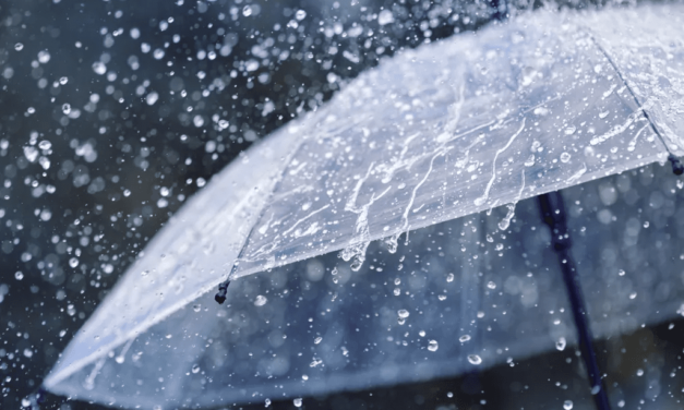 Clima no Rio Grande do Sul: Céu nublado e possibilidade de chuva neste domingo
