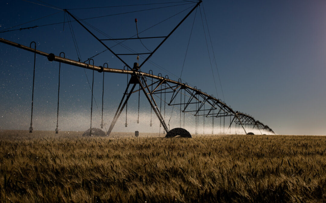 Subvenção de projetos de irrigação terá inscrições até o dia 17 de novembro