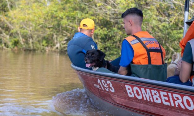 80 animais são resgatados em Canoas após enchente