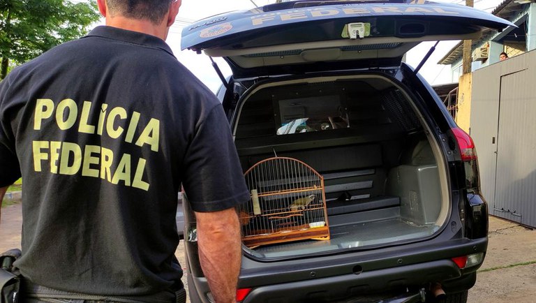 Polícia Federal realiza operação de repressão ao tráfico de animais de fauna silvestre