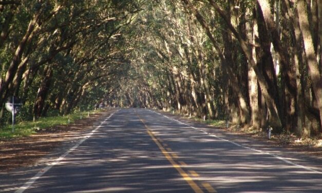 EGR reforça sinalização da ERS 040 em Balneário Pinhal após acidentes