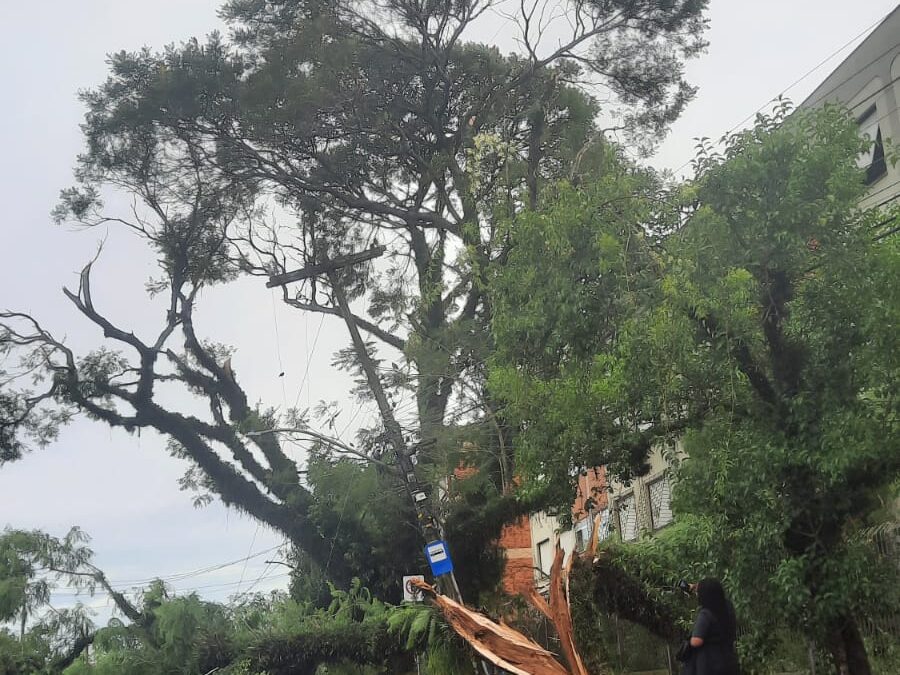 Temporal deixa feridos e uma vítima fatal no Rio Grande do Sul