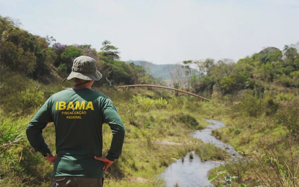 Servidores do Ibama pedem reajuste salarial e podem suspender fiscalização ambiental