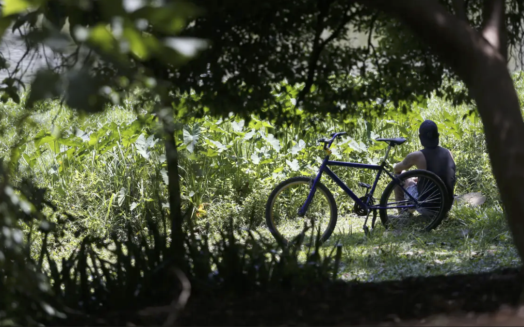 Outono chega com temperaturas acima da média em todas as regiões