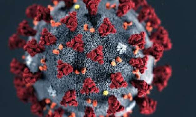 Pesquisa irá avaliar sequelas causadas pela covid-19 na população brasileira