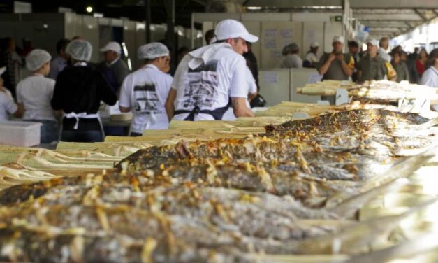 Feira do Peixe de Porto Alegre tem alta demanda e prevê boas vendas até sexta-feira