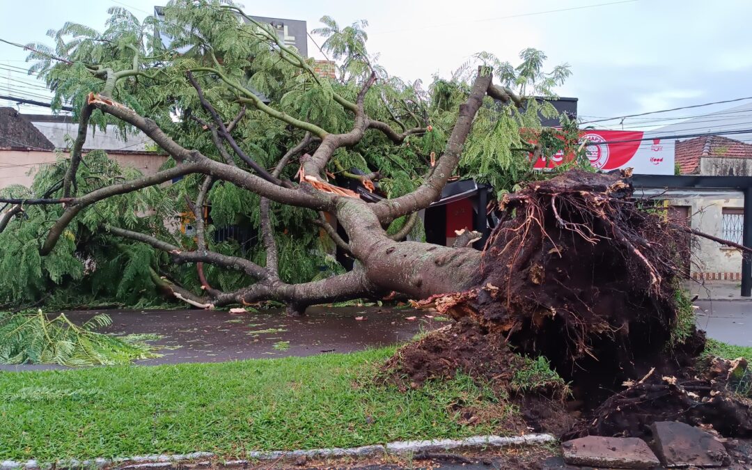 Temporal e ventos fortes trazem transtornos ao Rio Grande do Sul