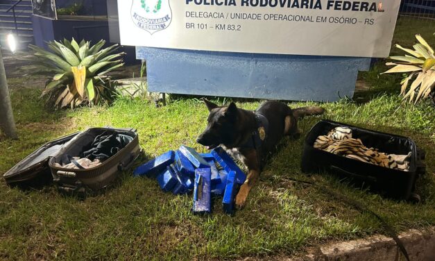 PRF apreende 10 kg de maconha em ônibus que seguia para Osório