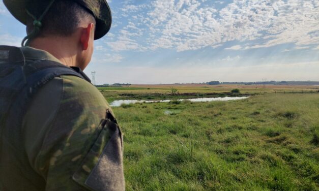 Patram de São Borja constata supressão de aproximadamente 94 hectares de vegetação do bioma pampa em Santo Antônio das Missões